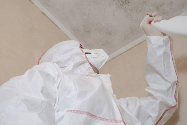 Best Professional Mold Removal  in East Prairie, MO